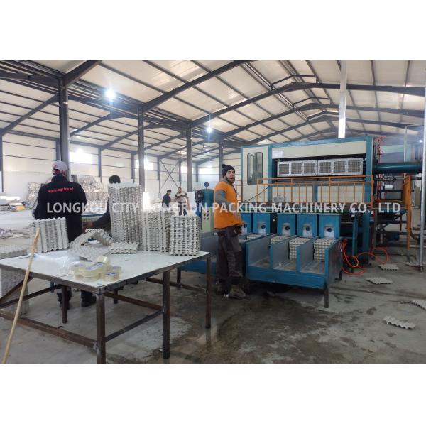 Pulp Molding Process Paper Egg Tray Machine Capacity 6000PCS / H