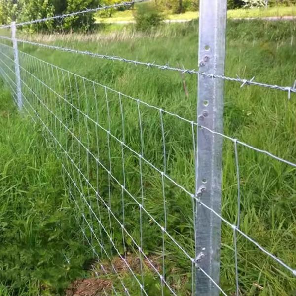 Heavy Galvanized Sheep Wire Mesh Fence Thick Wire Diameter Hinge Joint Sheep &