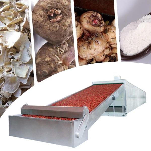 Konjac Red Chilli Dryer Machine ISO SGS