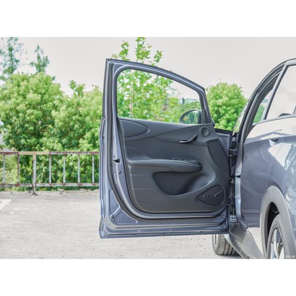 CGC BYD Dolphin 2024 5 Door 5 Seat Hatchback ev Electrical Cars SUV Sedan and Durable