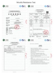 Guangdong Lokang Sports Technology Co., Ltd.