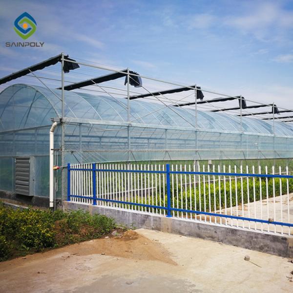 Flowers Planting Clear Film 9m Multi Span Greenhouse Sturdy Stable