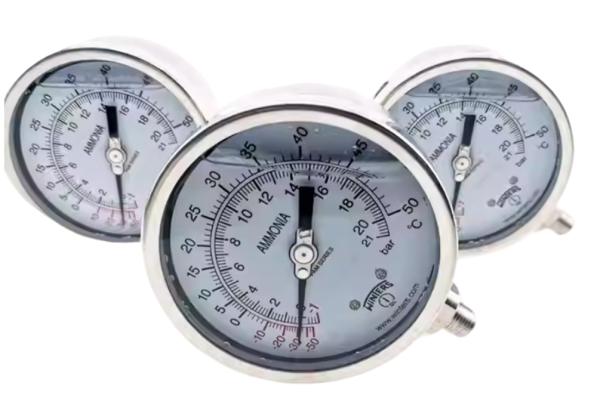 WINTERS PAM-85 Stainless Steel Ammonia Gauge with IP65 Protection and 210mm Dial Size for Industrial Use