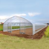 invernadero de la película de las láminas de plástico del palmo de la longitud de los 30m solo para el cultivo del tomate