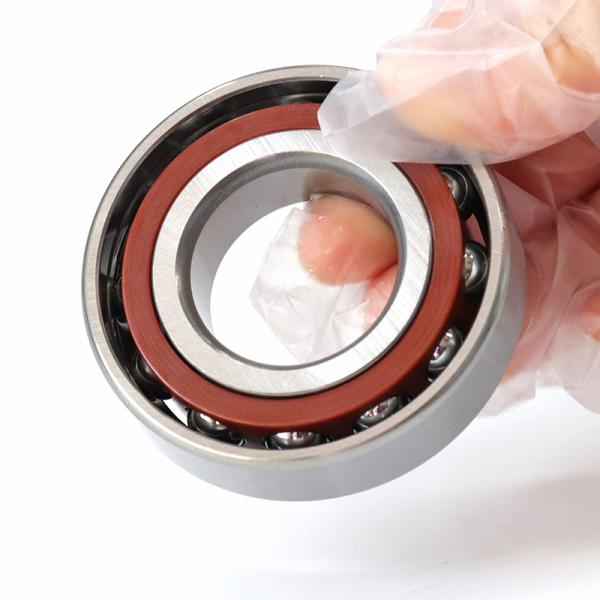 GQZ SL045010 Double Row Full Complement Cylindrical Roller Bearing 50×80×40mm Loing Bearing Bidirectional Axial Load