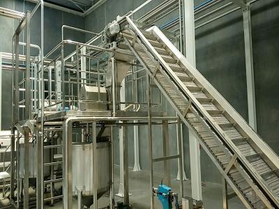 Raw Fruit Mango Juice Processing Line Sterilizing 10T Per Day