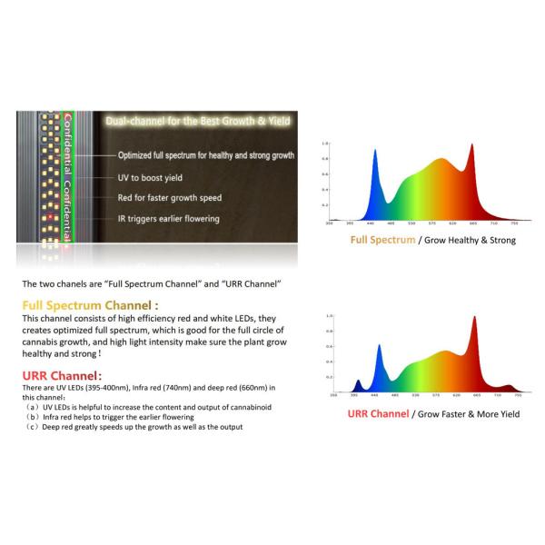 900W Electronic Horticultural LED Light Full Spectrum Grow Lights For Indoor Plants