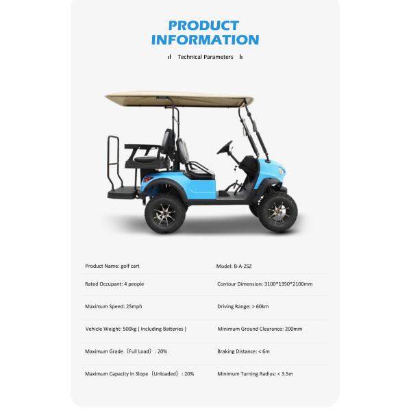 Electric Golf Buggy 2 2 Seat Battery Operated Utility Golf Carts for Your Needs from HM