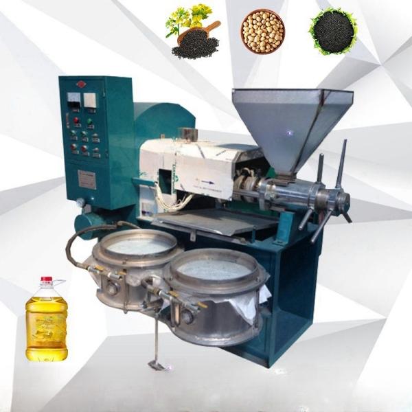 Raw Material Sunflower Coconut Palm Sesame Olive Oil Press Machine with Oil Filter CBM4.09