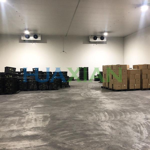 China Sale Industrial Refrigeration Equipment Modular Container/Walk in Freezer/Cold Storage Room