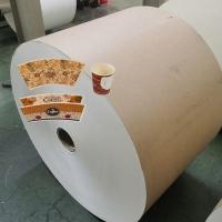 PE Coated greaseproof paper roll for beverage paper cups