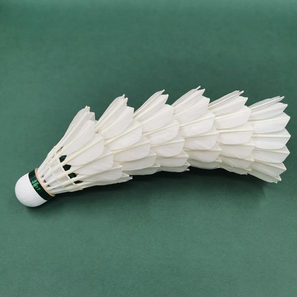 Competition A Class 3 In 1 Shuttlecock Feather Aeroplane Badminton Shuttle D55