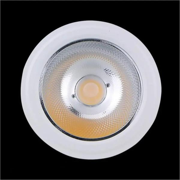 12W Par30 Cob Led E27 Led Anti Glare Surface Mounted Down Light Led Spotlight suitable