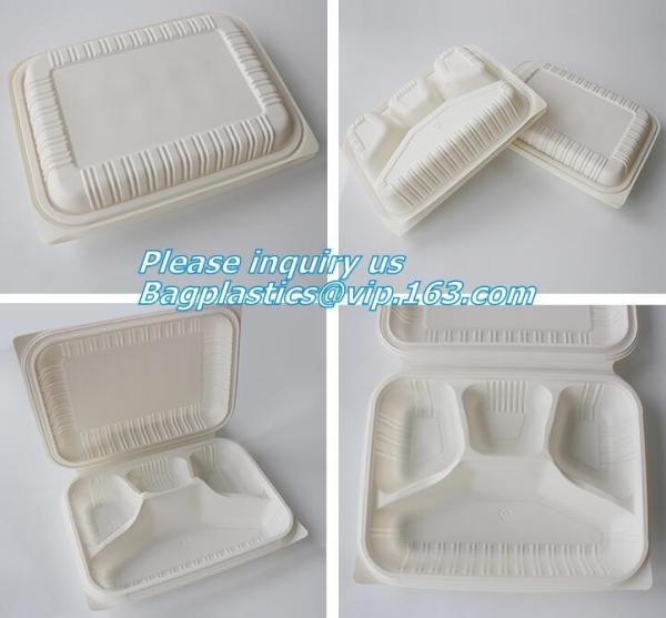 Disposable Plastic Takeaway Meal Tray, Corn starch blister packaging tray, blister packaging