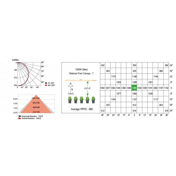 1200W High Efficiency Indoor LED Grow Light Energy Saving Eco Friendly 10 Bars Foldable