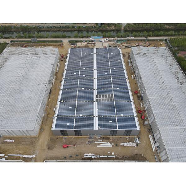 Q235B Q355B Economical Steel Structure Warehouse Prefabricated Steel Buildings