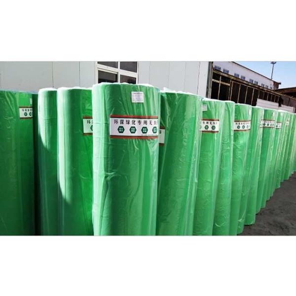 200gsm Agriculture Non Woven Fabric 320cm Green For Park Plants