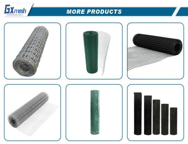 Welding Style Plastic Coated Galvanized Wire Mesh Roll Newest Iron Welded Wire Mesh