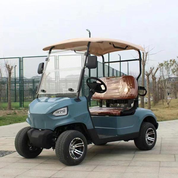 Electric Golf Cart Bag and Tires Fuel Type Electric Push Cart with Front LED Headlight