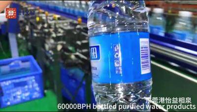 Peiyu Packaging Hot Melt Glue Labeling Machine High Speed Precision Labeling Solution