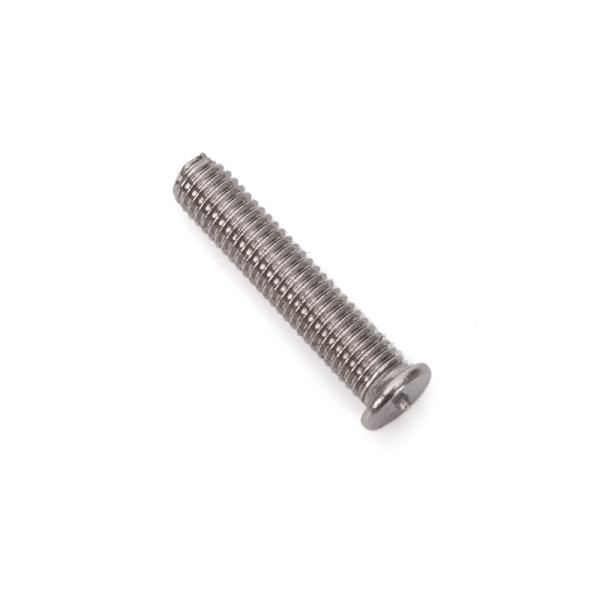 Stainless Steel Fastener for Industrial Manufacturing JIS Standard SS304 316 Spot Welding Screw in Bright Finish