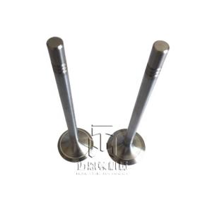 Inlet Valve And Exhaust Valve 04903005 04900685 0490 3005 0490 0685 4903005 For