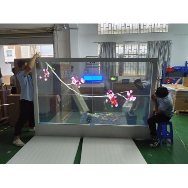 Hot Sale Digital Sign 55 Inch Ultra-thin High-definition 2x2 spliced Transparent OLED Screen