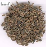 Arctiin Extract, 40% HPLC, high quality, treat cancer,fight against acne, Manufacturer, Shaanxi Yongyuan Bio-Tech