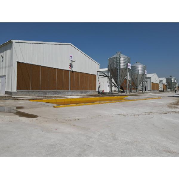 Промышленные стальные конструктивные здания Преfabricated Steel Poultry House Customized