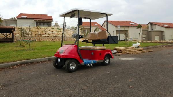 Customized Electric Car Mini Golf Cart 2 Seater With Imported Transaxle For Disabled People