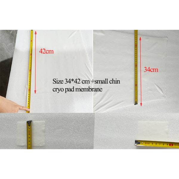 Membrane anti-gel en argent cryo 22 * 24 cm jetable pour la machine cryo slim
