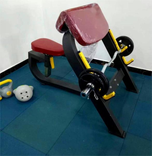 Freeman Commercial Gym Fitness Equipment Strong Steel Plate Bench Press Seated Preacher Curl Rack Fitness Exerciser Weight Bench