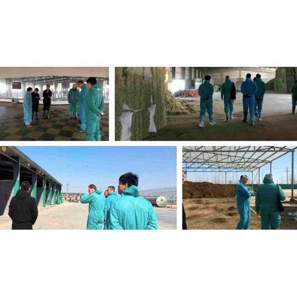 Q235/Q355 Steel Structure Poultry House with Sandwich Panel Roof