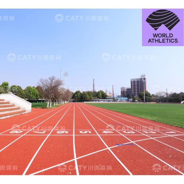 Customized Sizes Recycled SBR Granules with Shock Absorption for Sports Rubber Floor and Running Track