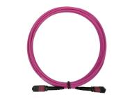 Tipos de pequeñas pérdidas magentas óptico 0.3dB B de la base OM4 24 del cordón de remiendo de la fibra 24 MTP MPO los 5M