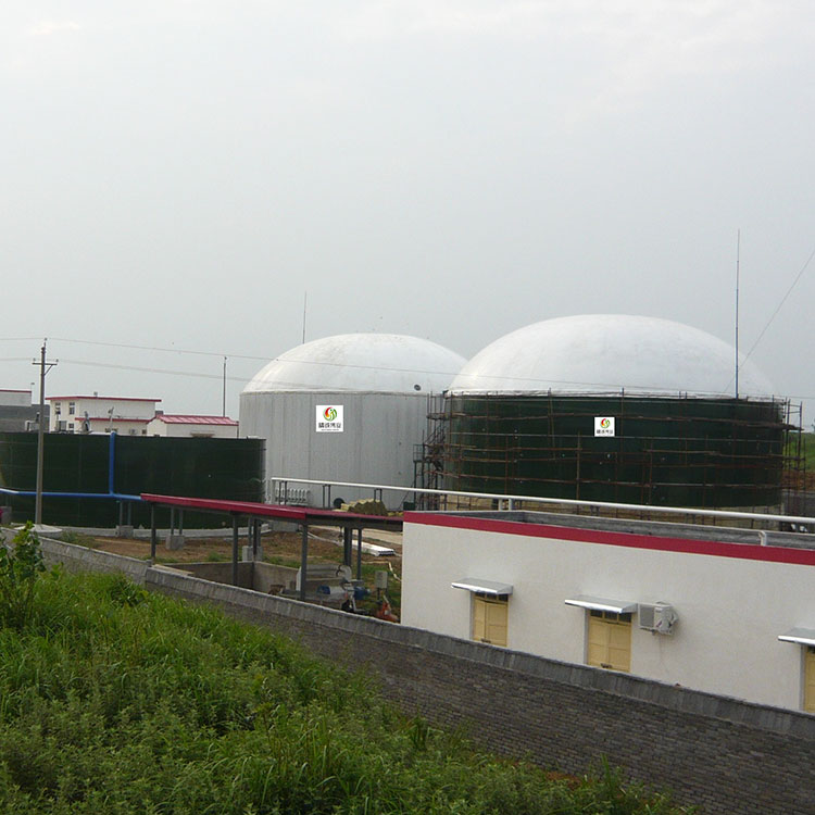 Обессеривание газообразного отхода оборудования 10ppm очищения лэндфилл-газа H2S влажное