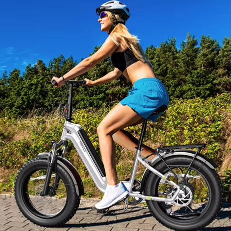 20 Inch Folding Fat Tire Electric Bike, Portable E-Bike for City Commute and Outdoor Adventure  750W 48v 15AH