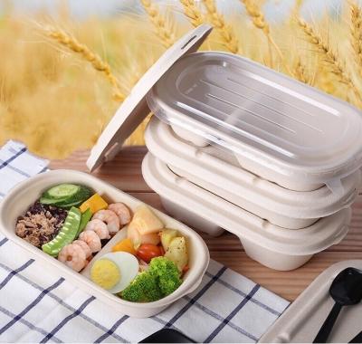 100% compostável descartável embalagem ecológica de qualidade alimentar lancheira de polpa de cana