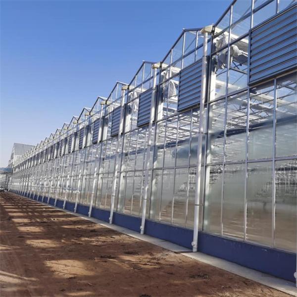 Аграрный закаленный стеклянный тип парник Venlo со столбцом 48mm