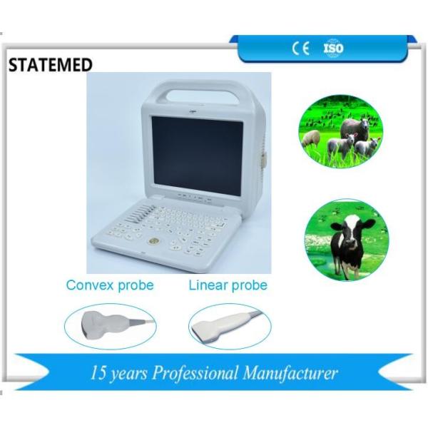 12 Inch Screen Black / White Ultrasound Scanner Gray Scales 256 For Horse