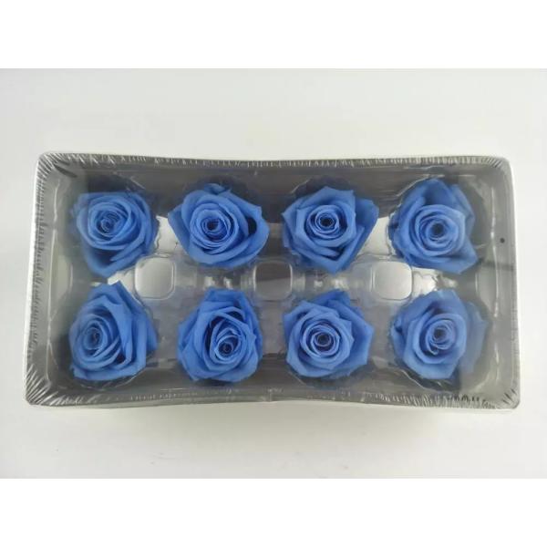 Ecuador Roses Diy Preserved Rose Head Gold Covered Roses  rose  gold rose