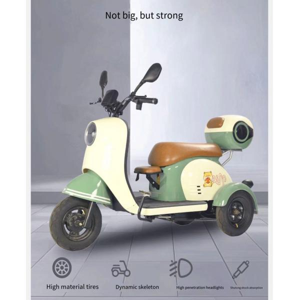 2024 Hotselling Electric Tricycle 3 Wheel Motorcycle Bike with Single Gross Weight of 75.000 kg and Range per Power 60 km