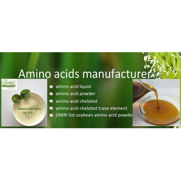 Аминокислоты PH3-5 пудрят удобрение высокого азота источника овоща 80% органическое