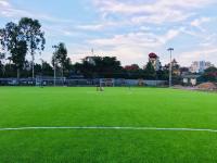 Hierba sintética de la hierba de Gazon Artificial De Fotbal En-Gros de la hierba artificial del fútbol
