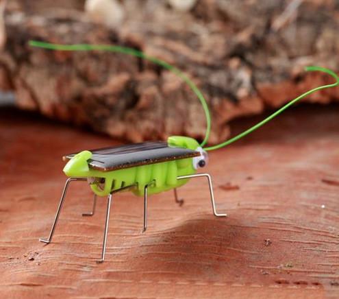 ECO Friendly Green Solar Powered Grasshopper For Kids Customized Logo