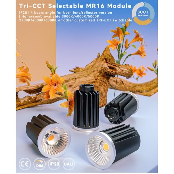 Tri-CCT Adjustable MR16 Module 12W COB LED 3000K/4000K/5000K 2700K/4000K/6000K