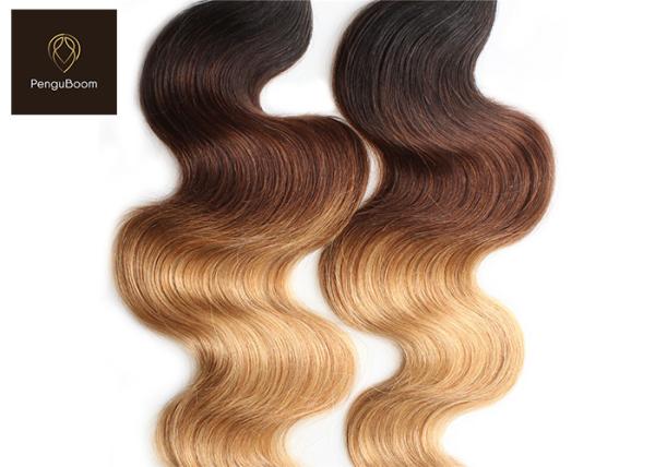 1b 4 27 BW Colored Human Hair Bundles