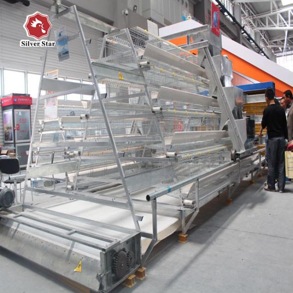 養鶏場のタイプ フル オートマチック電池おりシステム