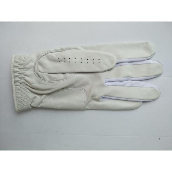 golf glove , golf gloves , glove , gloves