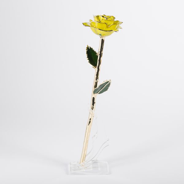 24k Gold Plated Rose  Handmade Preserved Rose Gold Rose Gift 2024 Upgraded Mother's Day Gift Factory Directly Supply